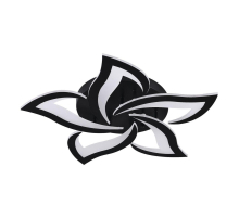 Потолочная светодиодная люстра Natali Kovaltseva Innovation Style 83002 Black