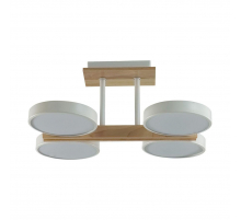 Потолочная светодиодная люстра Lumion Plato Ledio 8030/72CL