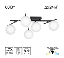 Потолочная светодиодная люстра Citilux Dorsy CL223152
