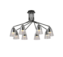 Потолочная люстра Evoluce Lirino SLE102902-08