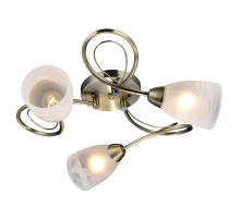 Потолочная люстра Lussole Lgo GRLSP-0187