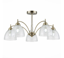 Потолочная люстра Evoluce Nuele SLE104402-05