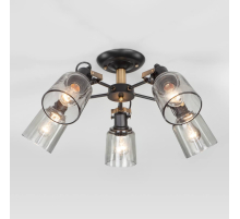 Потолочная люстра Eurosvet Astor 70111/5 черный