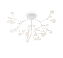 Потолочная люстра Freya Florencia FR5049CL-36W1