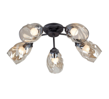 Потолочная люстра Vitaluce V4929-1/5PL