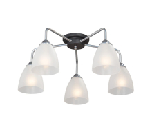 Потолочная люстра Vitaluce V4952-9/5PL