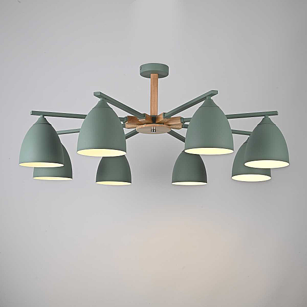Потолочная люстра Imperium Loft Noa 8 Mint 183468-26