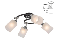 Потолочная люстра Citilux Сиерра CL119241