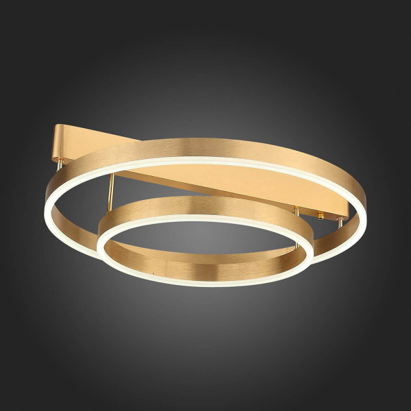 Потолочная светодиодная люстра ST Luce Onze SL944.202.02 Потолочная светодиодная люстра ST Luce Onze SL944.202.02