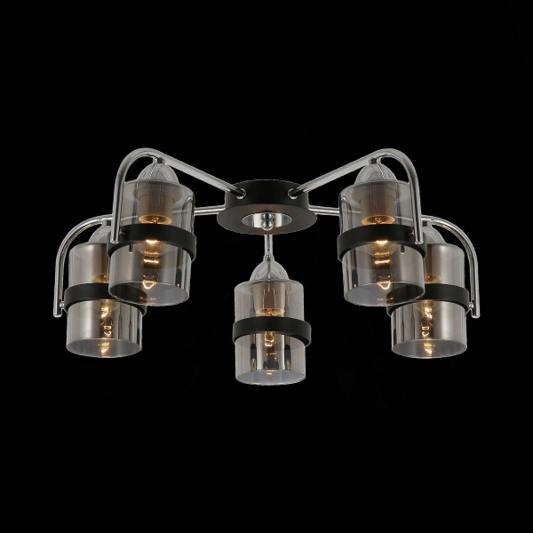 Потолочная люстра Evoluce Fiumo SLE102002-05 Потолочная люстра Evoluce Fiumo SLE102002-05