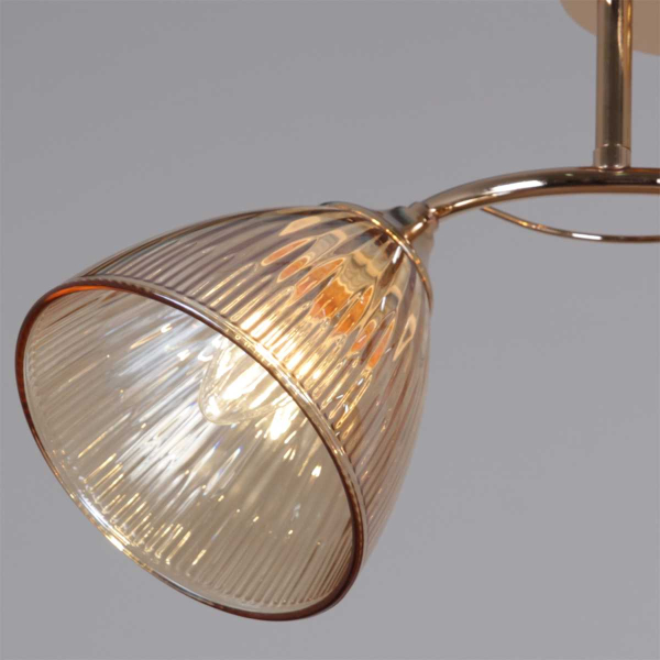 Потолочная люстра Reluce 02560-0.3-03 FG