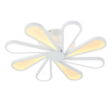 Потолочная люстра Lucia Tucci Miracoli 201.8 LED