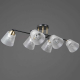 Люстра Illumico IL0845-6CSQ-25BKAB ELITE