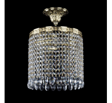 Потолочная люстра Bohemia Ivele 19201/25IV G