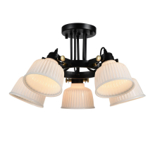 Потолочная люстра Evoluce SL714.402.05