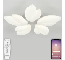 Потолочная люстра Natali Kovaltseva EFFECT LED LAMPS 81116