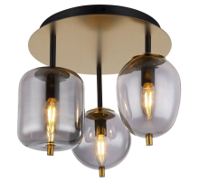 Потолочная люстра Lussole LOFT LSP-8730