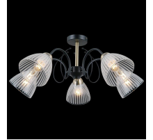 Потолочная люстра Illumico IL0198-5CSQ-79 BK AB