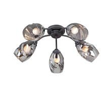 Потолочная люстра Vitaluce V4936-1/5PL