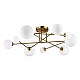 Потолочная люстра Evoluce FANTINI SLE2211-302-09
