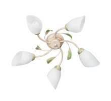 Потолочная люстра Vitaluce V3232/5PL