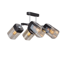 Потолочная люстра Vitaluce V4895-1/4PL