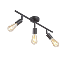 Потолочная люстра Vitaluce V3796-1/3PL