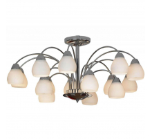 Потолочная люстра Lussole Apiro GRLSF-2403-15