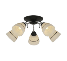 Потолочная люстра Toplight Winnifred TL1255D-05BC