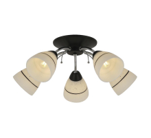 Потолочная люстра Toplight Winnifred TL1255D-05BC
