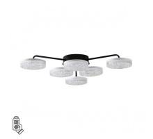 Потолочная светодиодная люстра Lumion Ledio Didana 8236/6CL