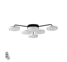 Потолочная светодиодная люстра Lumion Ledio Didana 8236/6CL