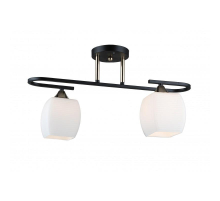 Потолочная люстра IMEX MD.5485-2-S-BK+FGD