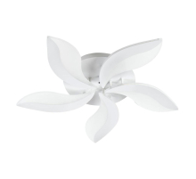 Потолочная светодиодная люстра Escada 10214/SG (60W)