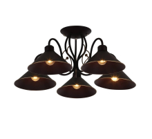 Потолочная люстра Evoluce Ciolla SLE120402-05