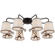 Потолочная люстра Illumico IL6103-8COU-79 CF CR