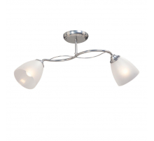 Потолочная люстра Vitaluce V3947-9/2PL