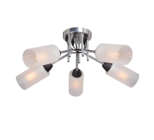 Потолочная люстра Vitaluce V4896-9/5PL