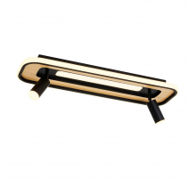 Потолочная светодиодная люстра F-Promo Olika 4439-2C