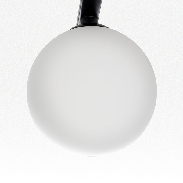 Потолочная люстра Citilux Glob CL209261