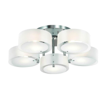 Потолочная люстра Evoluce Foresta SL483.502.05