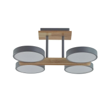 Потолочная светодиодная люстра Lumion Plato Ledio 8031/72CL