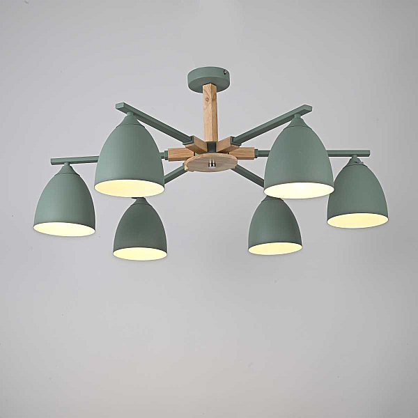 Потолочная люстра Imperium Loft Noa 6 Mint 183467-26