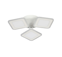 Потолочная светодиодная люстра Escada Erida 10288/3LED