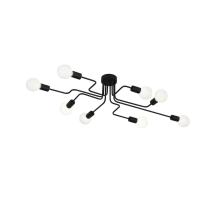 Потолочная люстра Evoluce Ano SL419.442.08