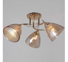 Потолочная люстра Reluce 02560-0.3-03 FG