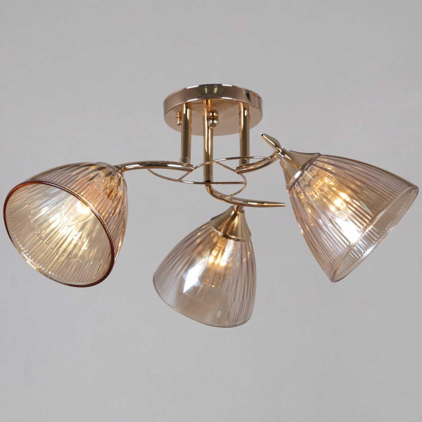 Потолочная люстра Reluce 02560-0.3-03 FG