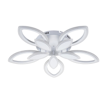 Потолочная светодиодная люстра Escada Gentle 10287/5LED