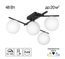 Потолочная светодиодная люстра Citilux Dorsy CL223142