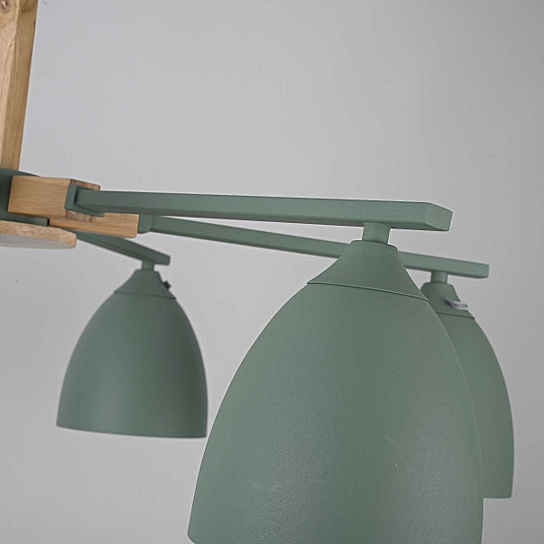 Потолочная люстра Imperium Loft Noa 6 Mint 183467-26